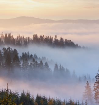 adhd-assessments-kids-teens-2