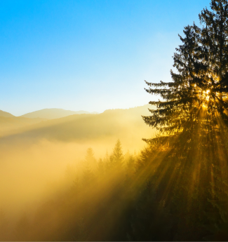 therapy-for-teenagers-image