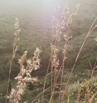 Image-1-youth-giftedness-assessment