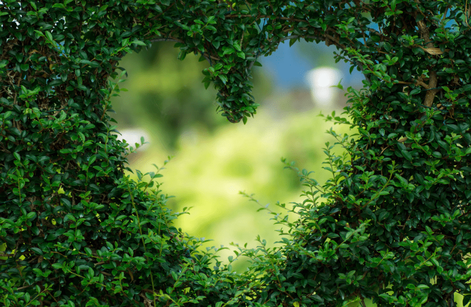 A Psychologist’s Guide to Self-Compassion