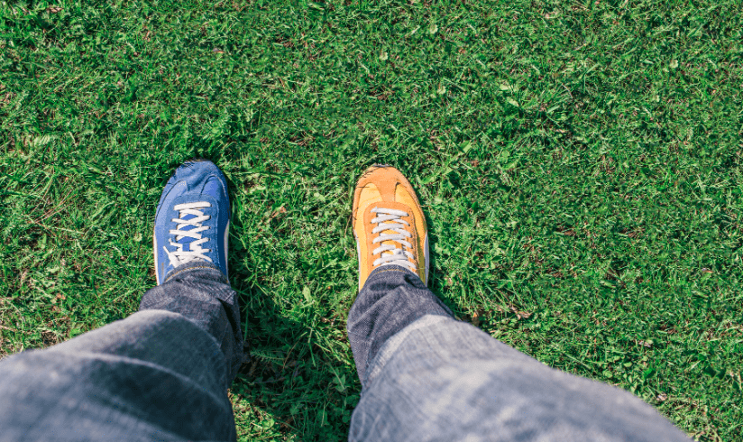 Psychotherapy vs CBT — Understanding the Differences